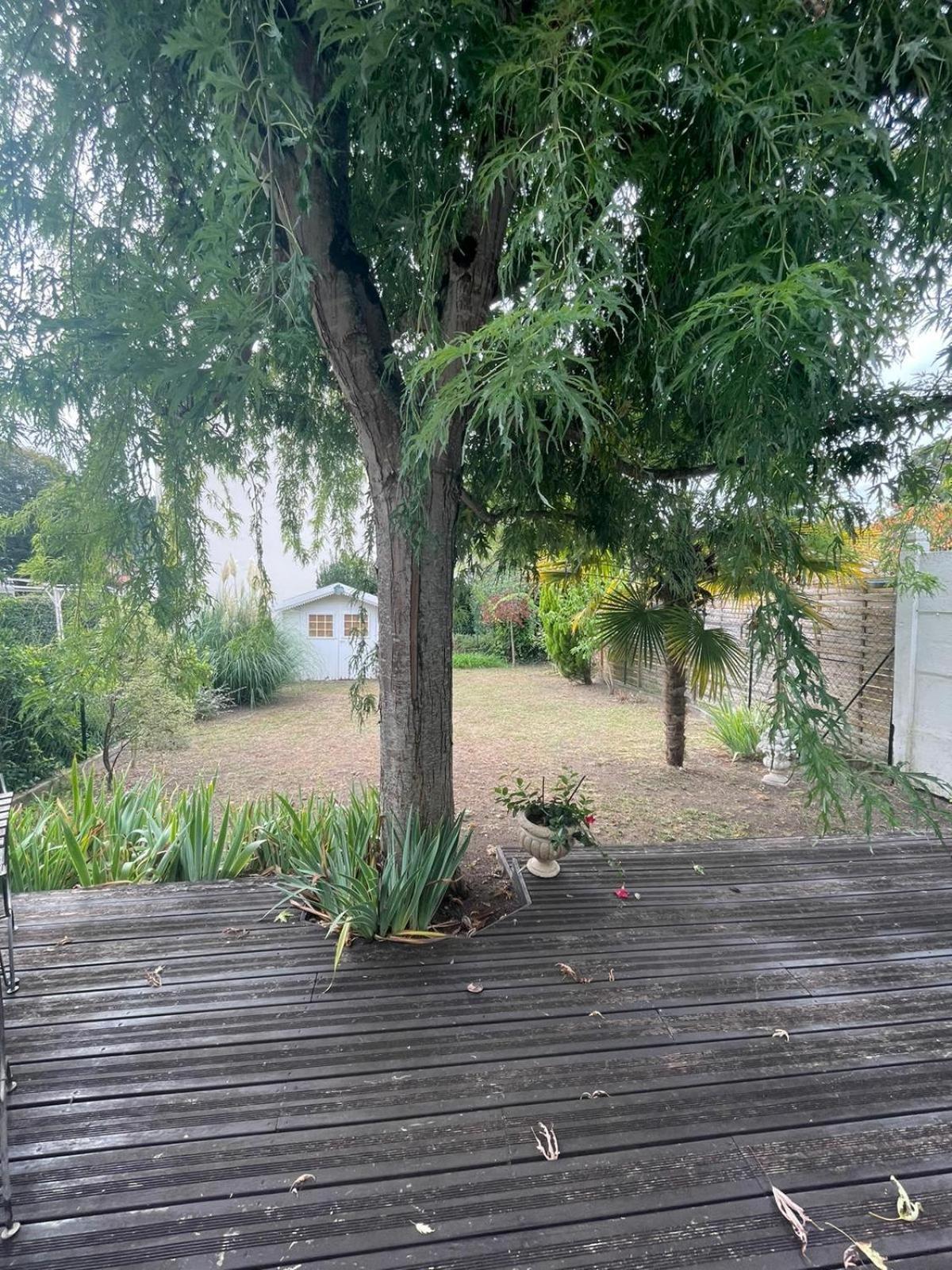 Périgueux Jolie Maison Quartier Vesone מראה חיצוני תמונה